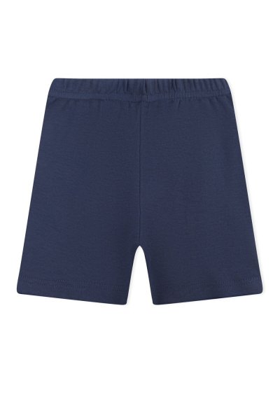 1960a44a-54bf-4742-ac61-6a3b5843828a